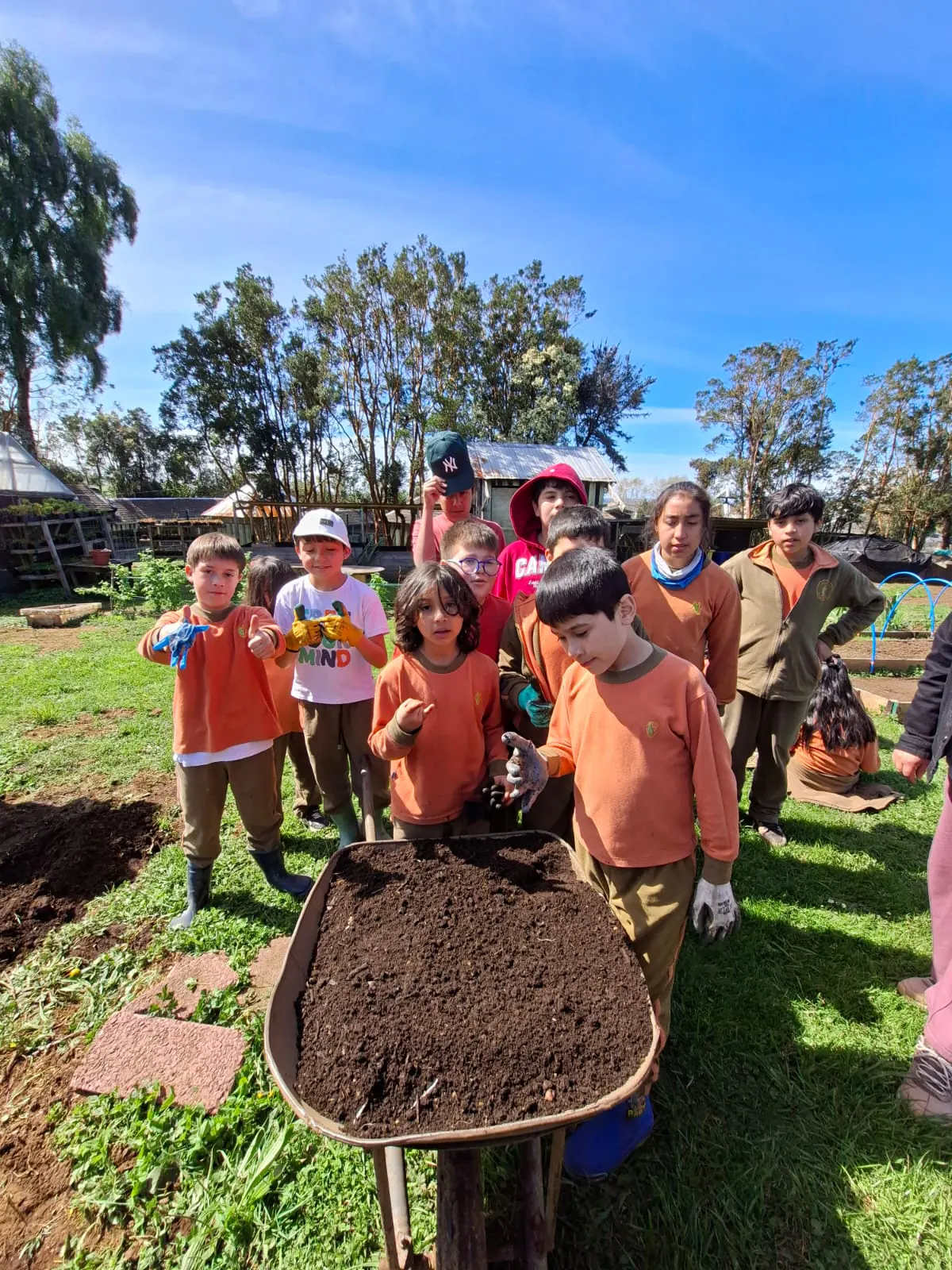 Estudiantes de 3° y 7° básico participan en taller de plantación de papas nativas - imagen adicional