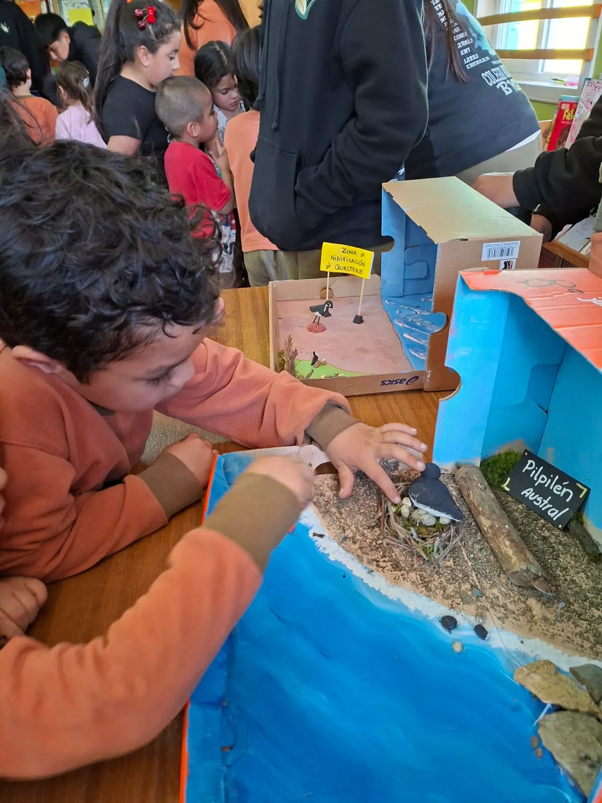 Estudiantes de octavo básico presentan exposición por el Día de las Aves Playeras - imagen adicional
